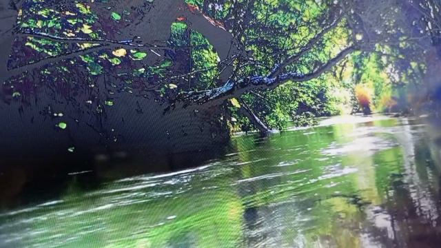 Когда жизнь удивляет .