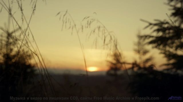 Природа, увиденная через призму тёмной энергии - технологии раскрывают тайны! - 50 Over The Speed Li