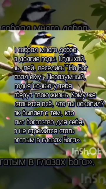 VID_20250618_214329_432.mp4