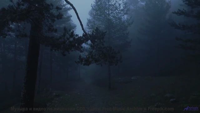 Каждая вершина, каждая река звучат в этой мелодии - Brie -- Podington Bear -- Homage Fromage (Box Se