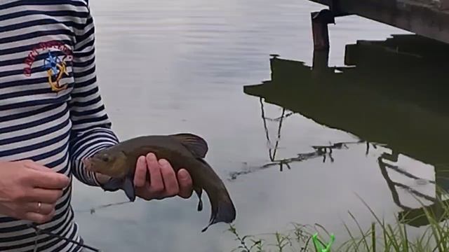 1000030829.mp4