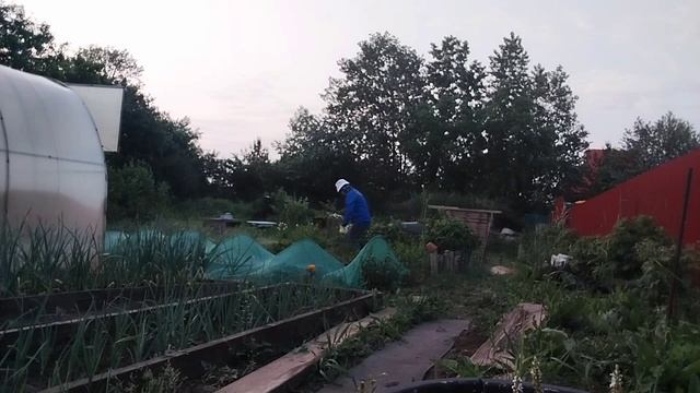 Простой наш день и вечер!