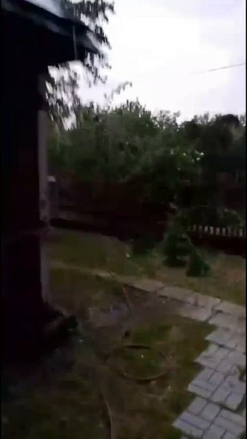 Буря, в Московской области 8.06.2025