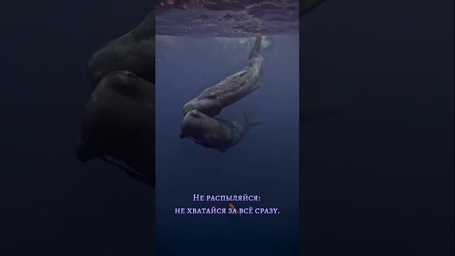 тенденции дня