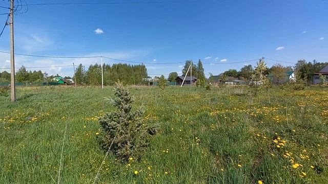 сурмино аукцион