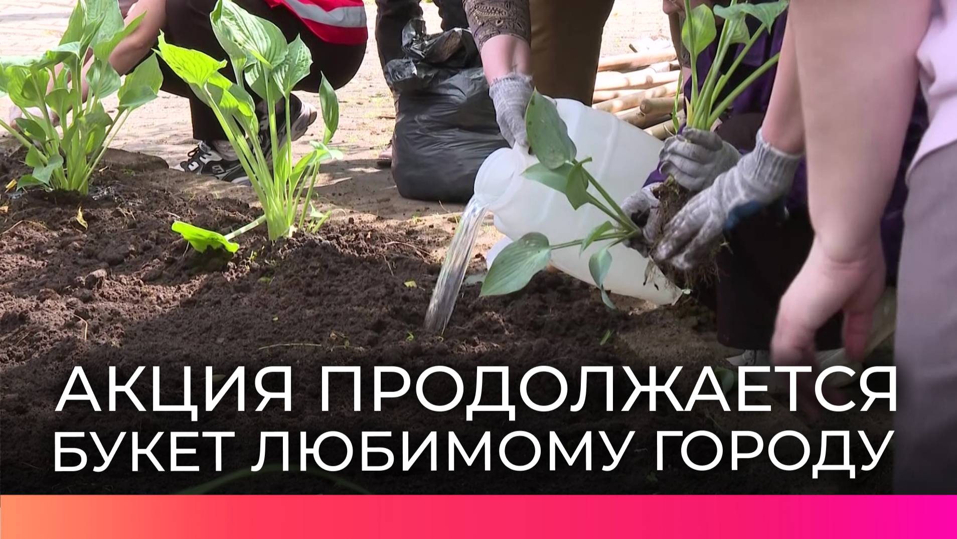80 волонтёров и 5 тонн земли: акция «Букет любимому городу» продолжается в Великом Новгороде