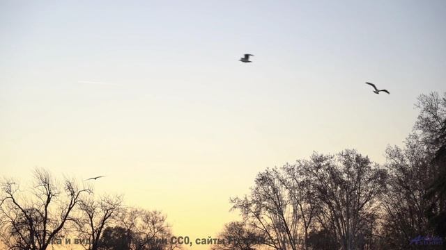 Зачем искать больше Вот оно! - End Of The Road (Instrumental) -- Anthem of Rain -- Freedom