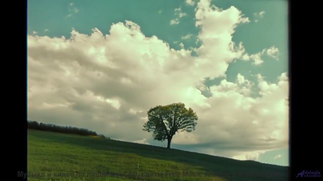 Ты будешь пересматривать его в самые трудные моменты! - Llamandotenlenguas 2 (VIII) -- opo -- Estudi