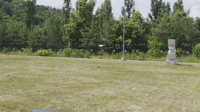 1000008259.mp4