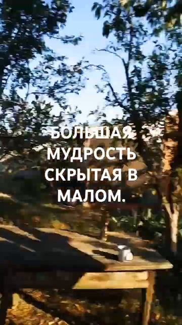 отпуск на приусадебном участке