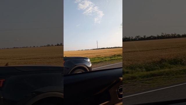 Домой
