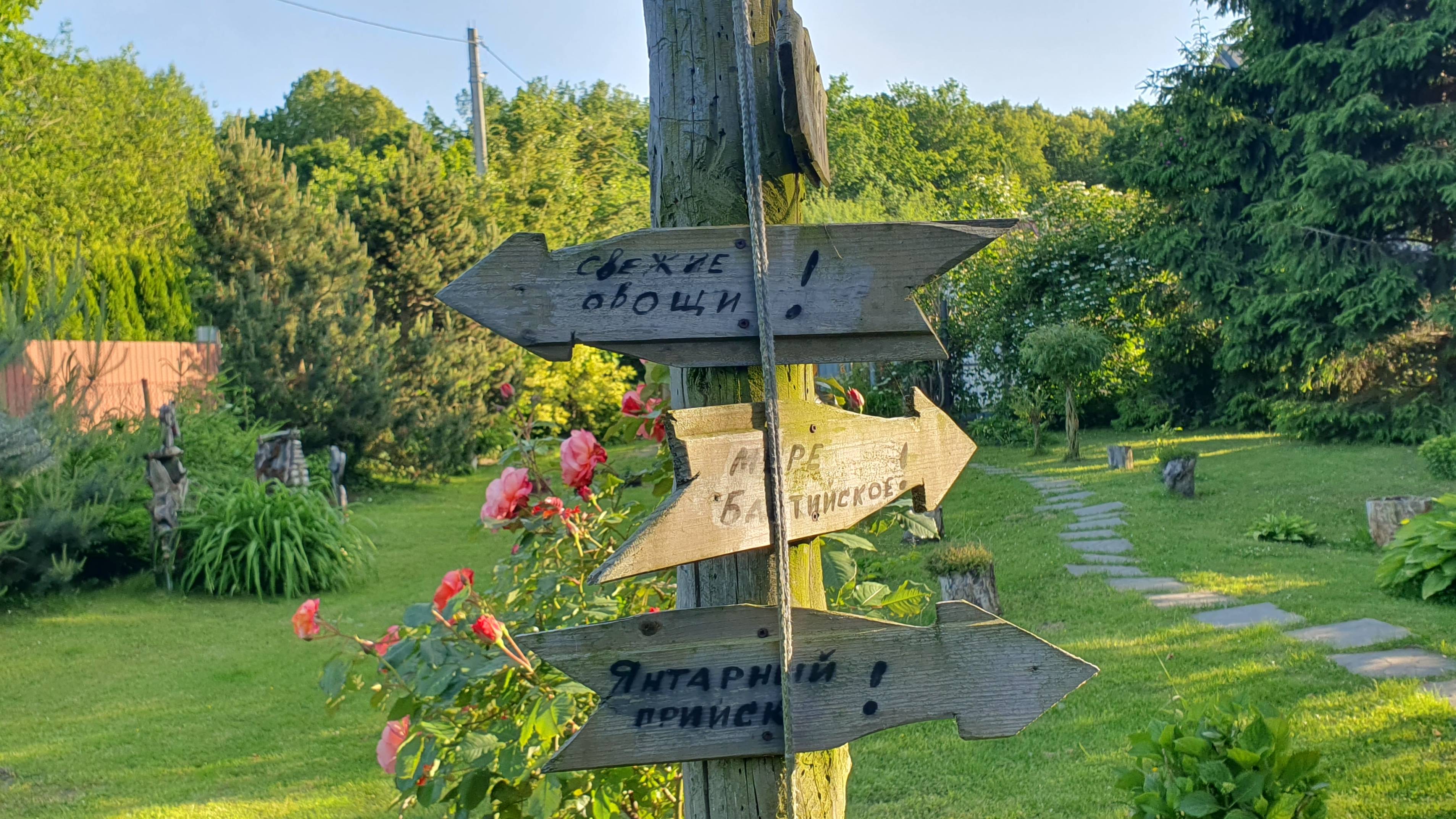 Сказочный дом. Утро🌞15 июня 2025 года, Балтийск.🕊️Птицы начинают петь очень рано, в 3 часа утра.☀