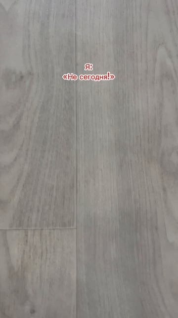 WB: 391773767