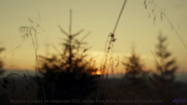 Леса вибрируют вместе с этим невероятным ритмом - Jooked -- Shaolin Dub -- The Great Divide