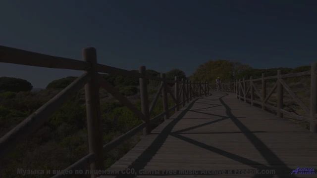 Ты НЕ СМОЖЕШЬ забыть это видео! - Moon -- Double-F the King -- Fillins
