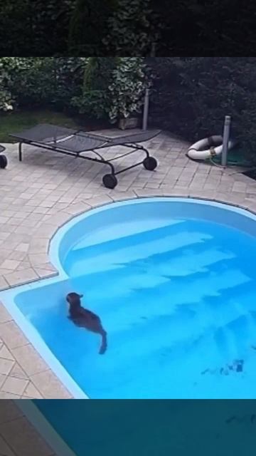 1000000328.mp4
