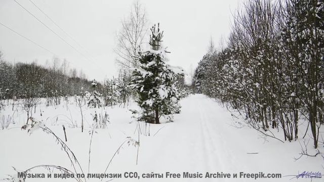 Почему в этом лесу нет птиц - Iceberg -- God is gay -- Tourne pour rien