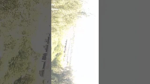 маленький утренний влооооооог