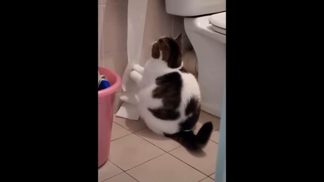 Смешные животные 😍 / №2