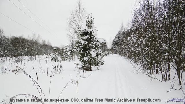 Эта мелодия заставит ваше сердце биться чаще - слушайте вместе! - NPC Theme -- HoliznaCC0 -- ChipTun