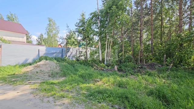 8534960 Березовое