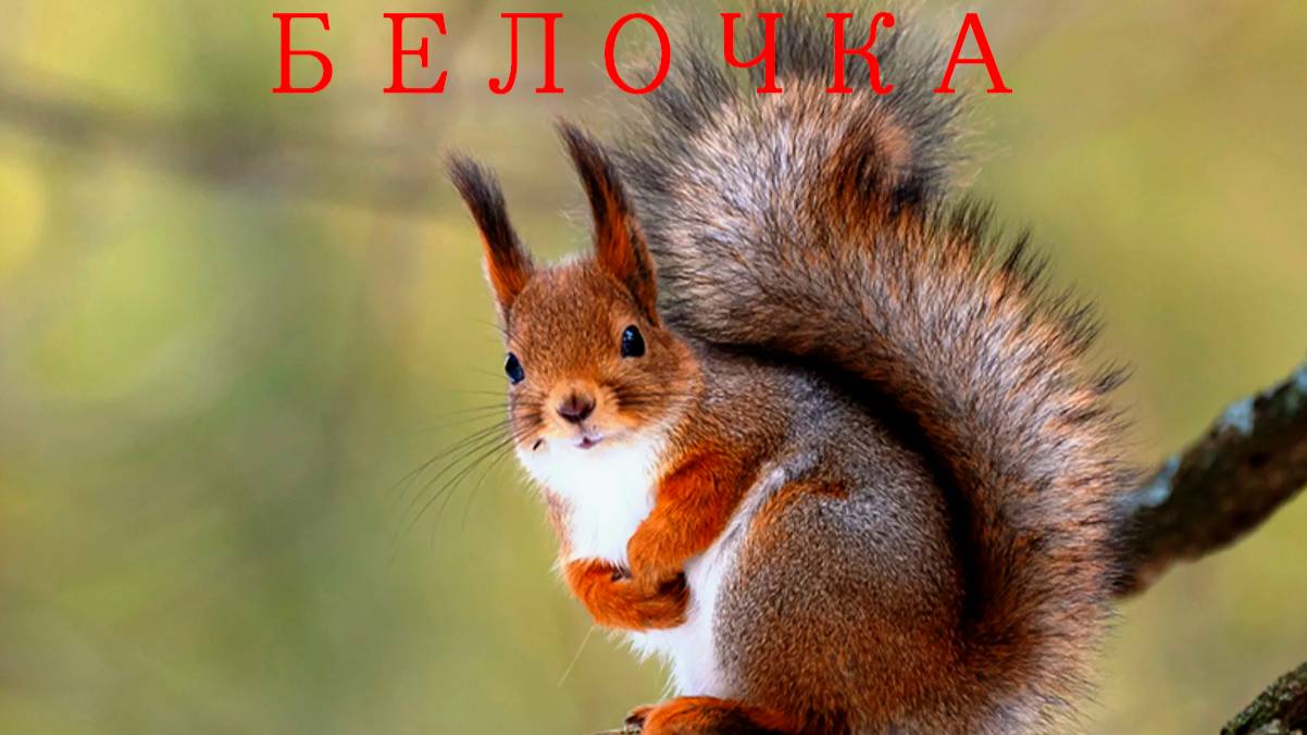 Милый завтрак на природе