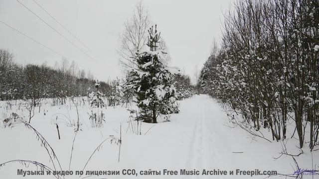 Саунд пробуждает забытые мечты о путешествиях - Introvert -- A. Cooper -- COOPER