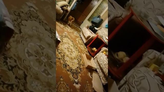 Нам обязательно будет весело