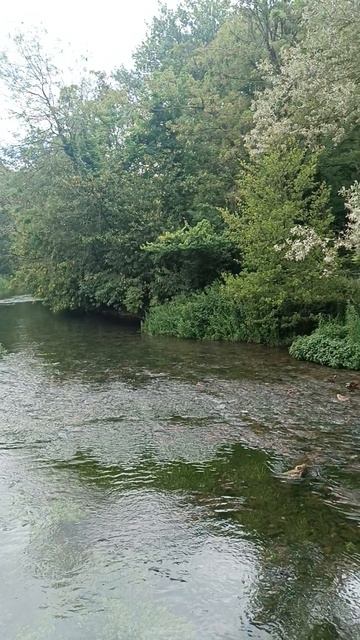 Байбери (Бибери), Котсволдс, Англия (Bibury, Cotswolds, England)