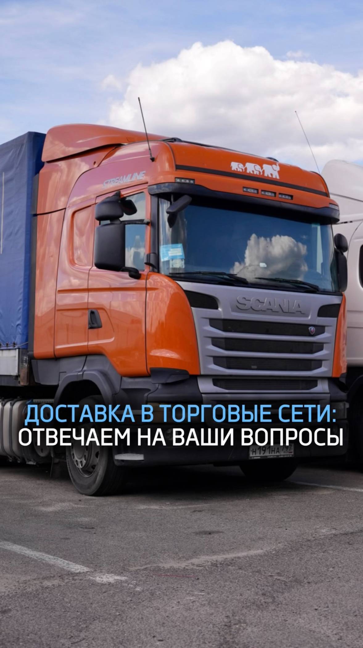 Доставка в торговые сети: отвечаем на ваши вопросы. Часть 2 ✍🏻