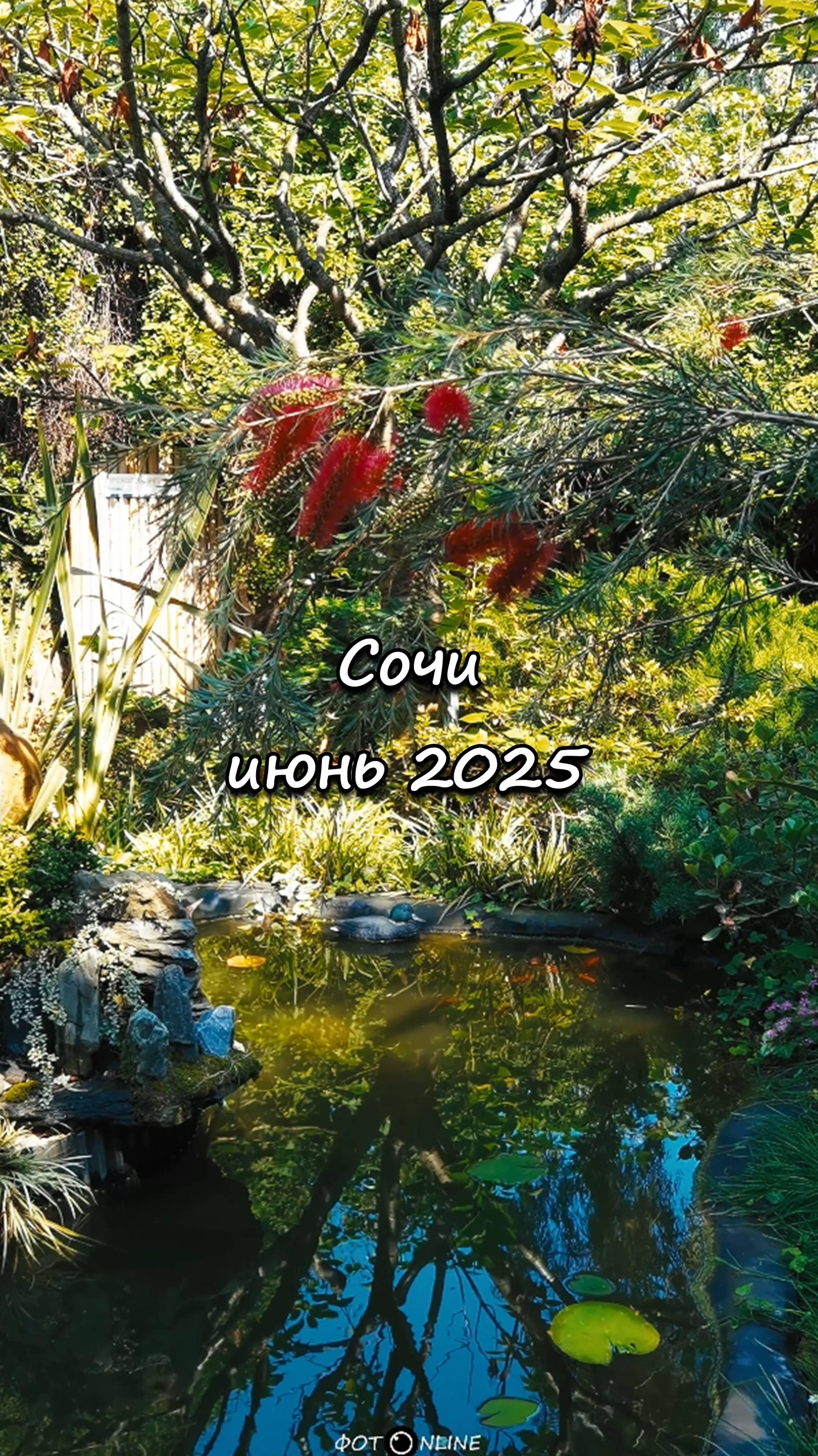 Сочи. Июнь 2025