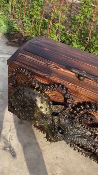 Сундук пирата