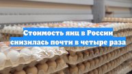 Стоимость яиц в России снизилась почти в четыре раза