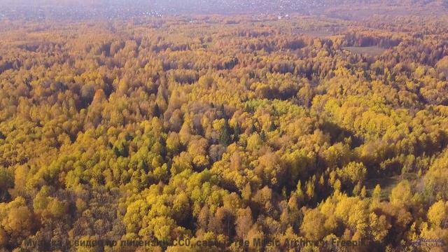 Поля и саунд рождают эмоции без границ - Ambient 507050 -- Steve Combs -- Speaking in Spirals