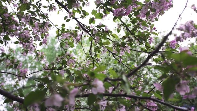 Душа вылетает из тела при таких пейзажах и звуке - Hanging On (Feat. Man Kid) -- Daniel Birch -- Sta