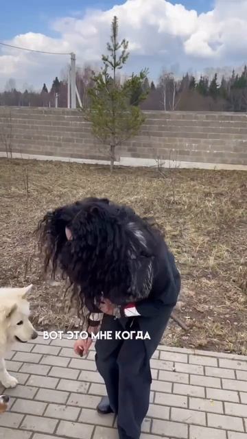 Мои проекты как бизнесвумен в моём Телеграм канале