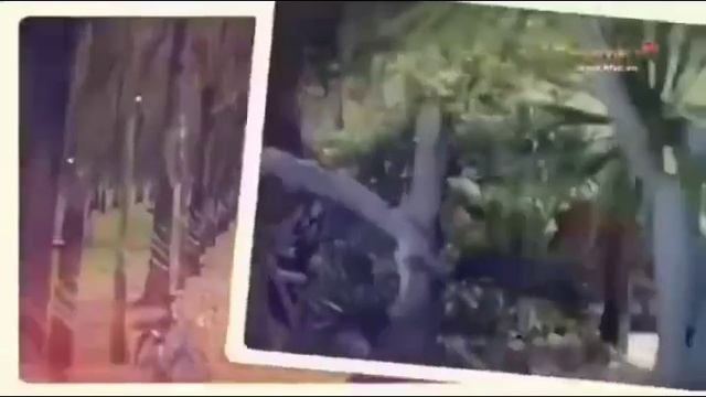 King Best HTVC Logos