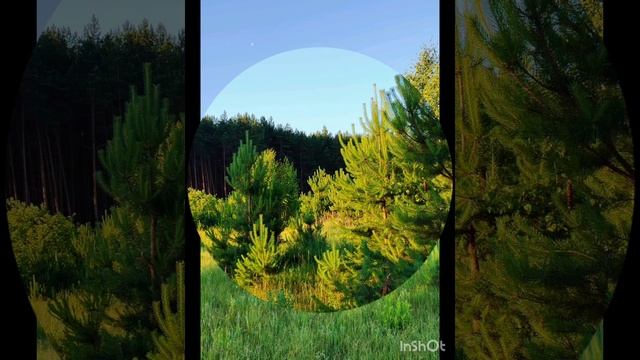 рассвет 18 июня