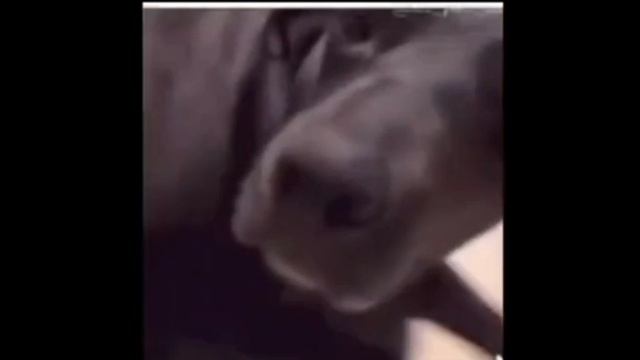 Кто засмеётся, проиграл