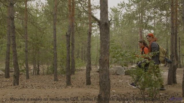 Пейзажи звучат громче любого оркестра с этим треком - Dreams -- HoliznaPATREON -- Orphaned Media