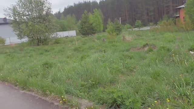 Продаётся земельный участок в городе Арзамас.