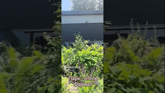 Брестская область. Каменецкий р-он. Шикарное место.🌸🌸🌸🌺🌺🌺💗.mp4