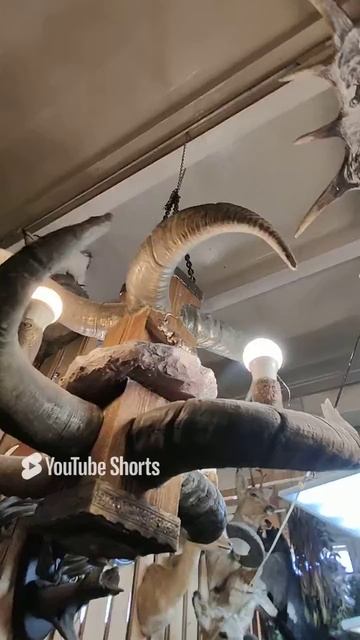 Люстра с рогами лося с рисунками