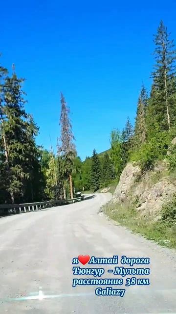 Алтай Дорога Тюнгур  - Мульта