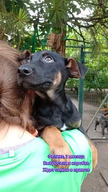 малыш ждет семью в приюте💔