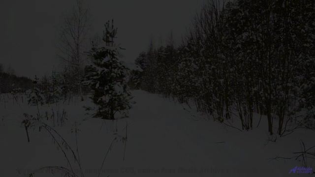 Музыка будущего, которую создал искусственный интеллект! - Laid Back To (ID 987) -- Lobo Loco -- HEA