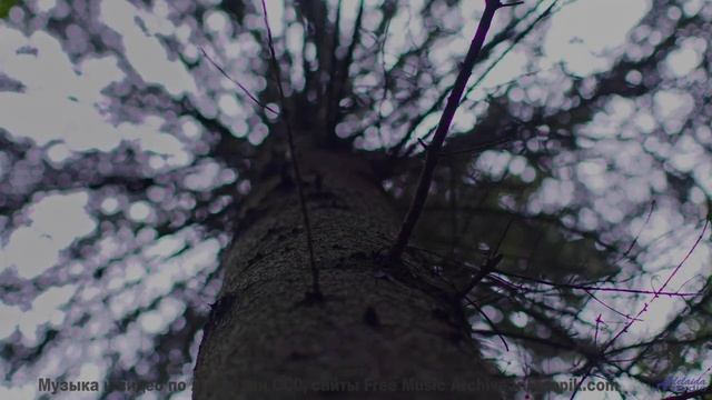 Эта мелодия сделает виды настолько ярче, что ахнешь - Goodbye Good Times -- HoliznaCC0 -- Makeshift