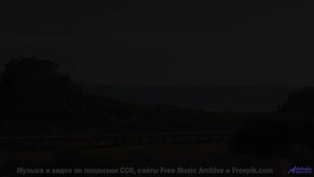 Ты НЕ СМОЖЕШЬ забыть это видео! - Kitty In The Window -- Podington Bear -- Said Lion To Lamb (Box Se