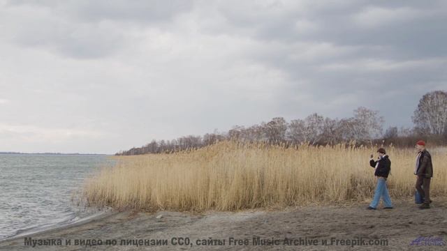 Мелодия проникает в кровь вместе с видом облаков - The Golden Hollows (ID 1395) -- Lobo Loco -- Chri