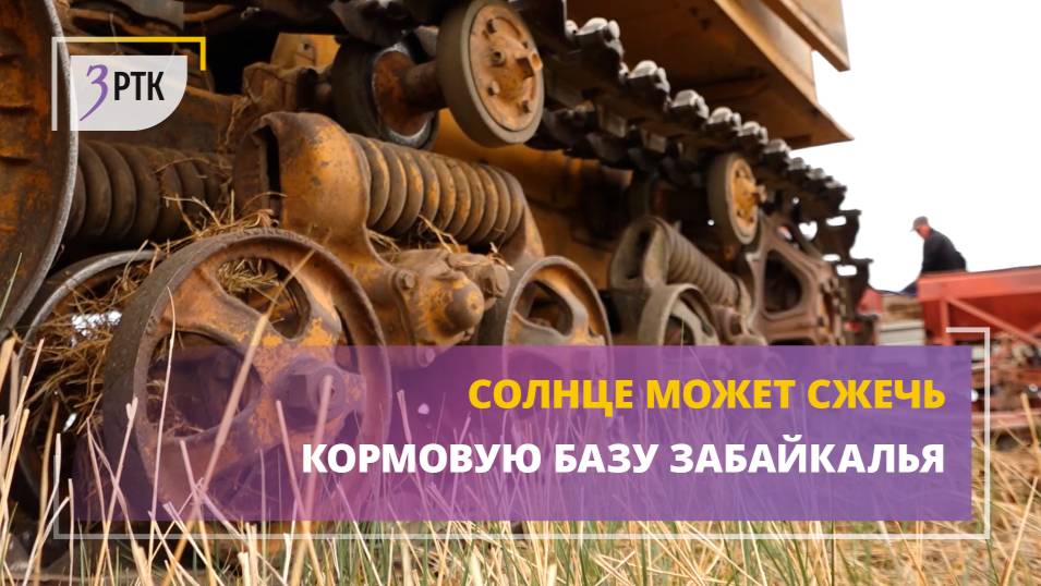Солнце может сжечь кормовую базу Забайкалья